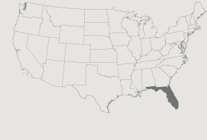 United States Map Highlighting Florida