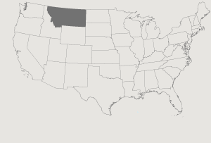 United States Map Highlighting Montana