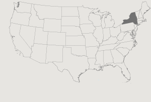 United States Map Highlighting New York